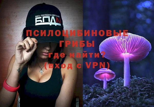 твердый Богородск