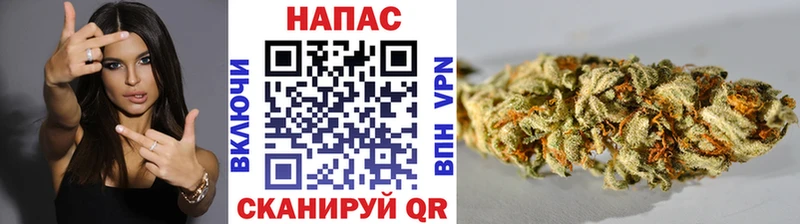 Бошки марихуана план  что такое наркотик  Пестово 